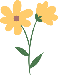 Yellow Flower Illustration